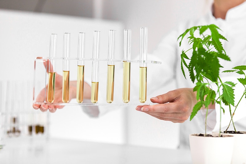 Reliable high quality cannabidiol products