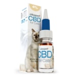 A box of CBD pastilles for dogs (3,2mg) sitting next to a bottle.