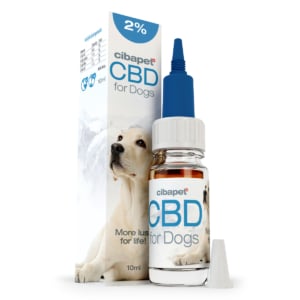 A box of CBD pastilles for dogs (3,2mg) next to a bottle of CBD drops.