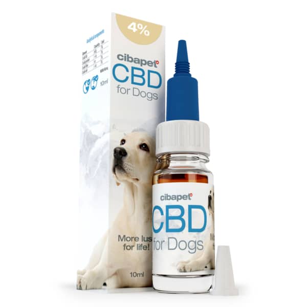 A box of CBD pastilles for dogs (3,2mg) next to a bottle.