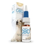 A box of CBD pastilles for dogs (3,2mg) next to a bottle.