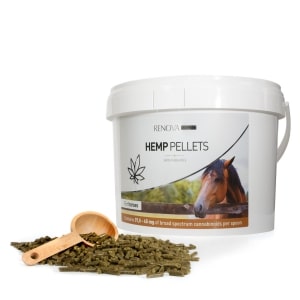 Back in balance with CBD horse food